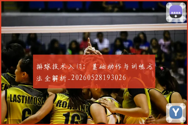 排球技术入门:基础动作与训练方法全解析_20260528193026