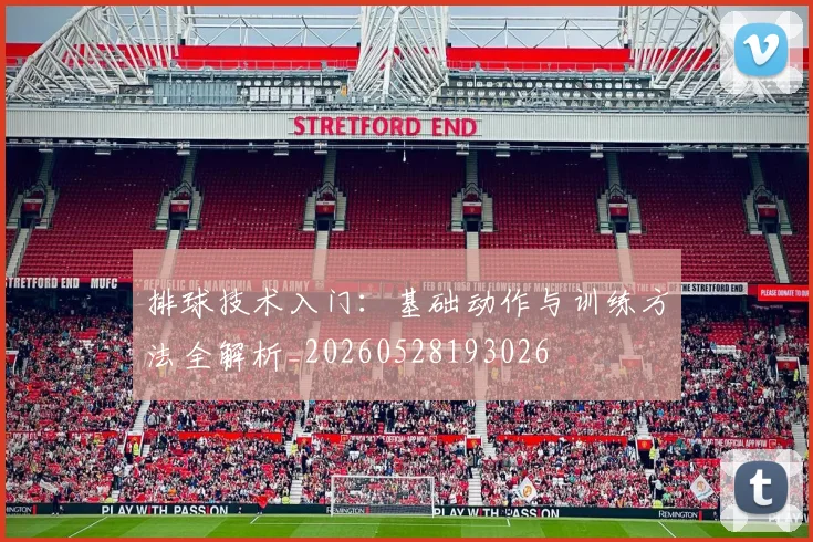 排球技术入门：基础动作与训练方法全解析_20260528193026